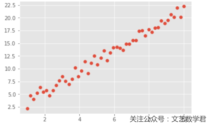 上海鲜花港 - 郁金香